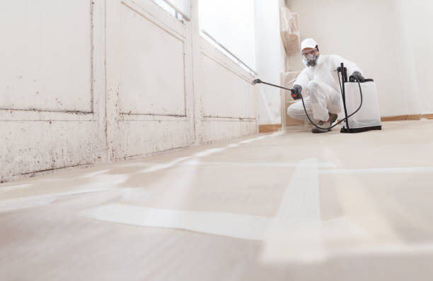 24/7 Emergency Mold Inspection experts in Revere, MA