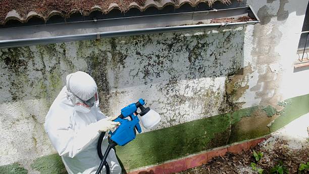 Trusted Bathroom Mold Removal service in Revere, MA - Cheap Mold Removal